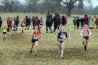 Girls under-15s, 2018 Northern Cross Country Champs., Harewood House, Leeds. Photo: David T. Hewitson/Sports for All Pics